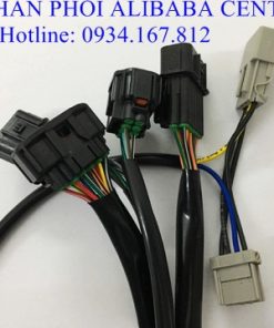 50600139 1876180202479847 1982465725972873216 n